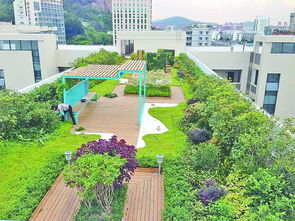 厦门今年将推广容器式屋顶绿化 并用三角梅装饰桥梁