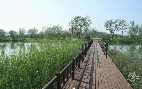 骄傲 苏州虎丘湿地公园荣获国际大奖