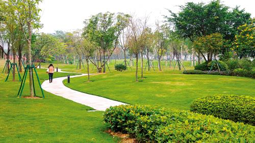  产品中心 以下为美丽田园园林提供城市公共绿地园林景观绿化工程