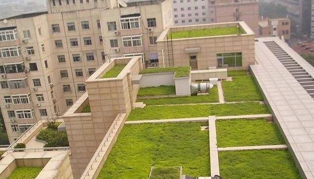 诗意生活,在城市屋顶打造绿色花园_绿化
