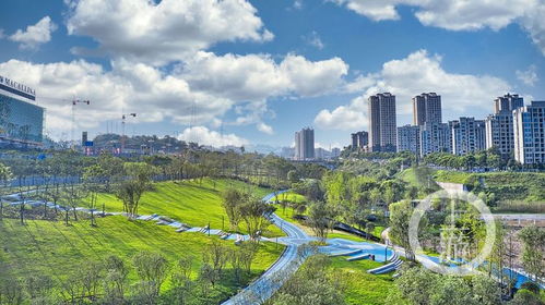 11月1日起施行 重庆市城市立体绿化鼓励办法 出台凤凰网重庆