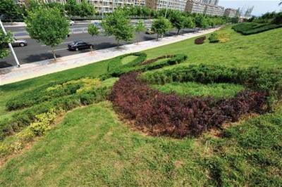 青岛新建住宅绿地不得低于30% 10大植物库供选择